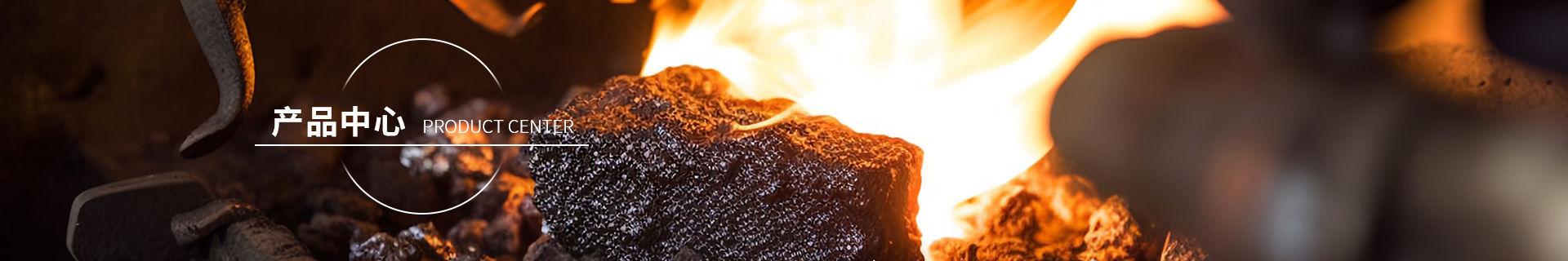 ����˹ר����(�й���)�ٷ���վ