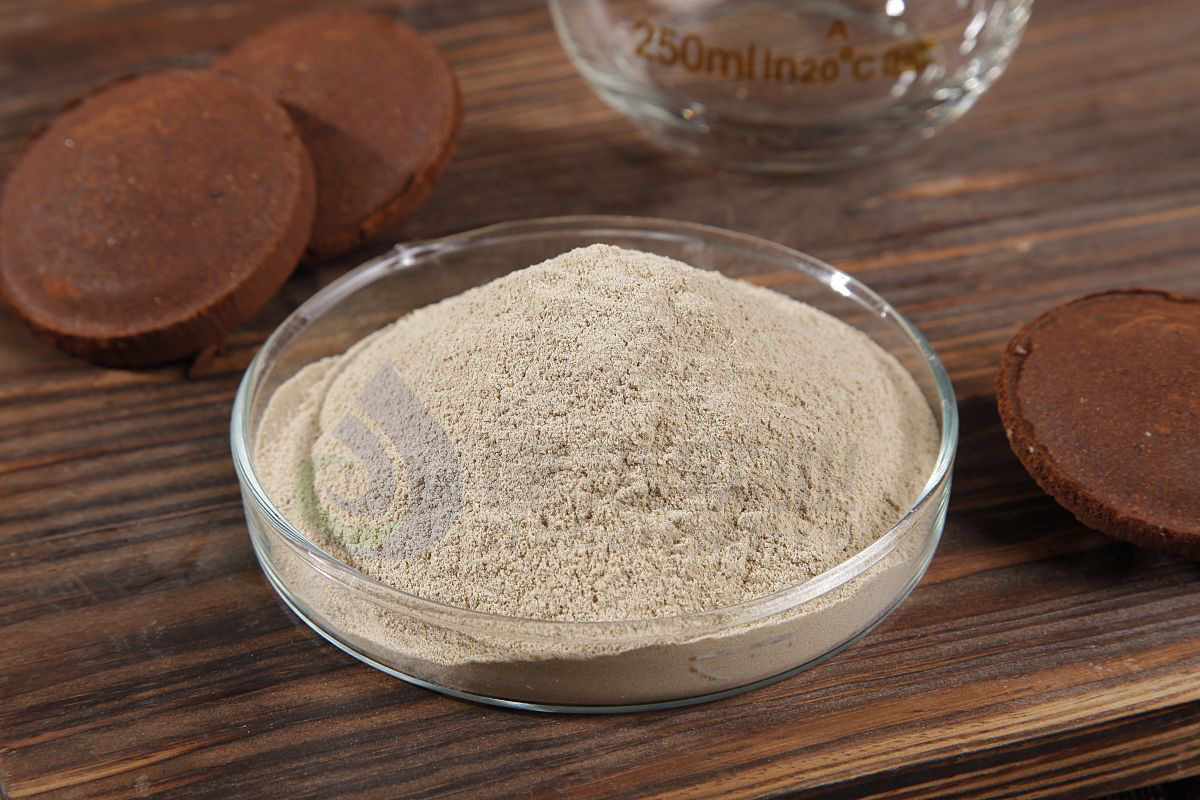 �ֳ���п�����Ҷ����ļ�������������