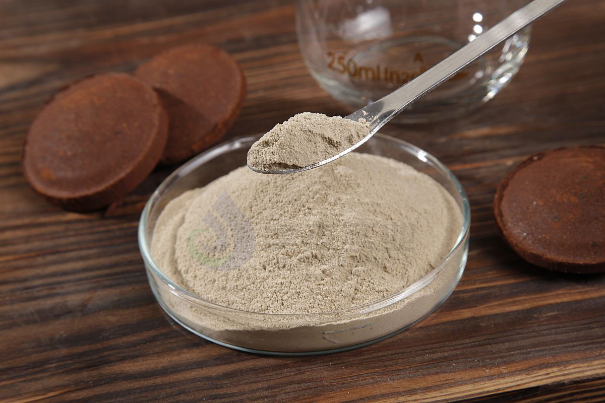 ת��¯������ʲô����������