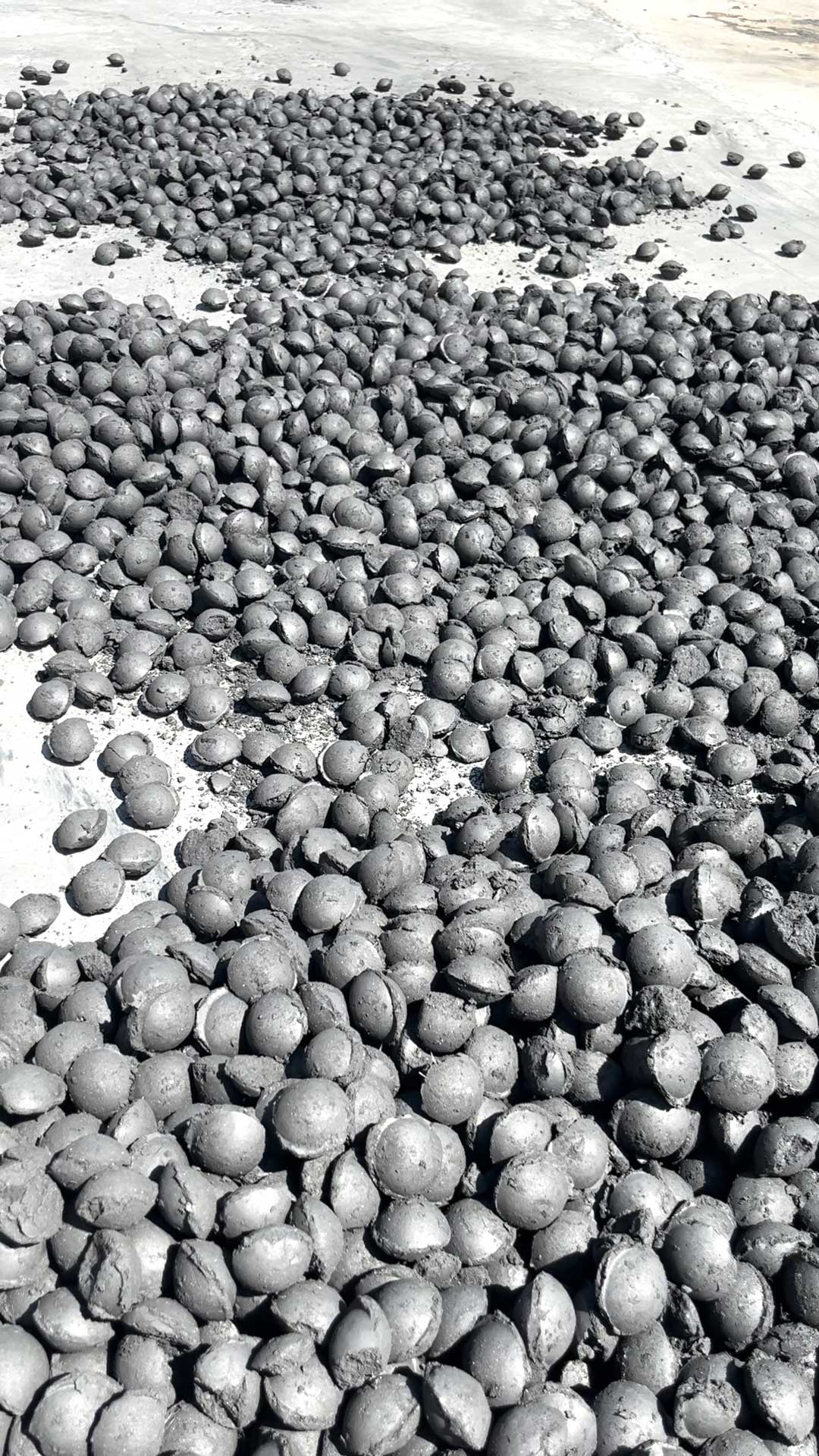 ����˹��ר����(�й���)�ٷ���վ�����ճ�ϼ��������������̵ĸ���